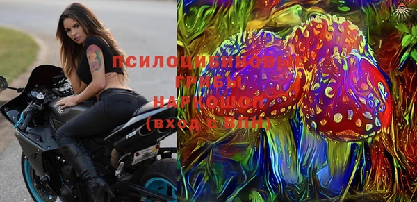 кокс Арсеньев