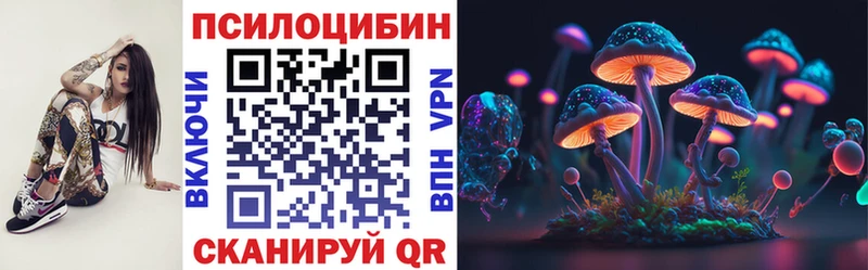 Псилоцибиновые грибы ЛСД  mega сайт  Переславль-Залесский 